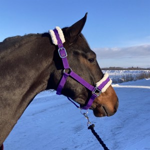 AB Kantar Griffin